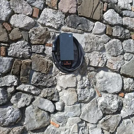 Odai Bovec