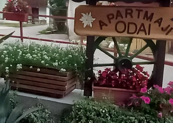 Apartament Odai *